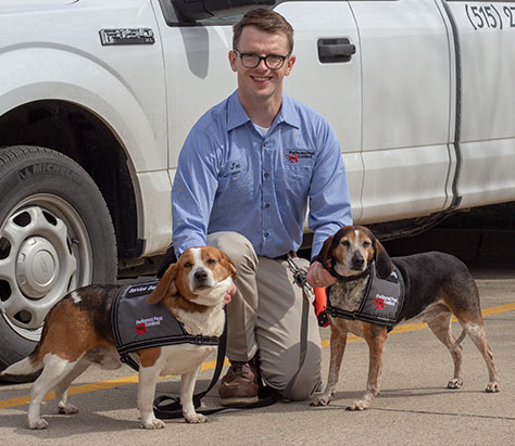 Bed Bug Detection Dogs Bed Bug Detection Canines
